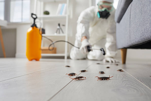 Post-Treatment Bed Bug Interceptor Monitoring in Hide-A-Way Lake