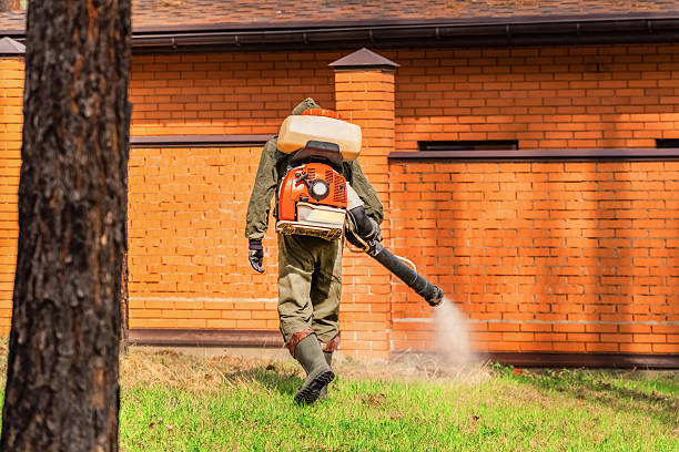 Bed Bug Clearance Verification and Documentation in Hide-A-Way Lake